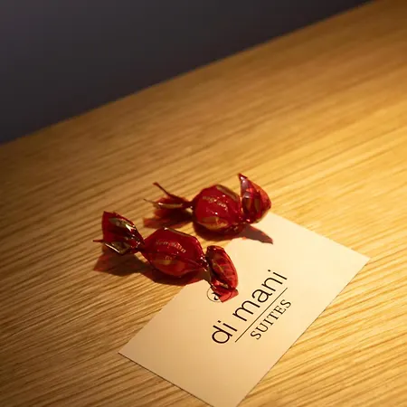Hotel Dimani & Residences